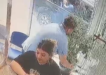 The footage recorded shows a woman entering the restaurant to inspect the monkey tree before another man then enters and takes the plant