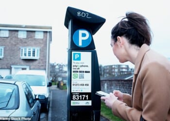 Seven in 10 drivers say they have struggled to pay for parking on an app due to poor signal (stock image)