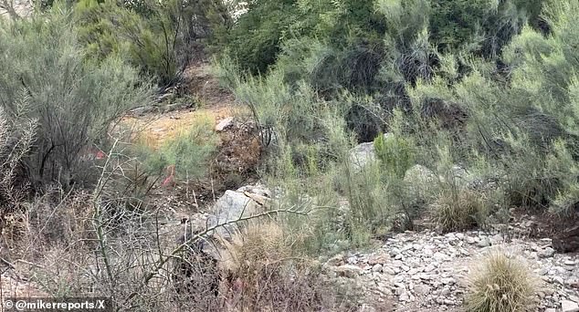 Tucson Police said the human bones were 'prehistoric' and did not belong to the missing grandmother
