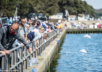 Crabbing has long been a popular seaside activity among families, where crabs are enticed by bait on a line before being temporarily placed in a bucket of water