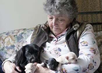 Patsy and her puppies snuggled up in the arms of owner Christine Reading following her great escape