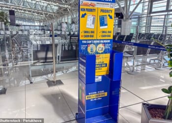 Ryanair is renowned for imposing frequent fees at the boarding gate for oversized bags