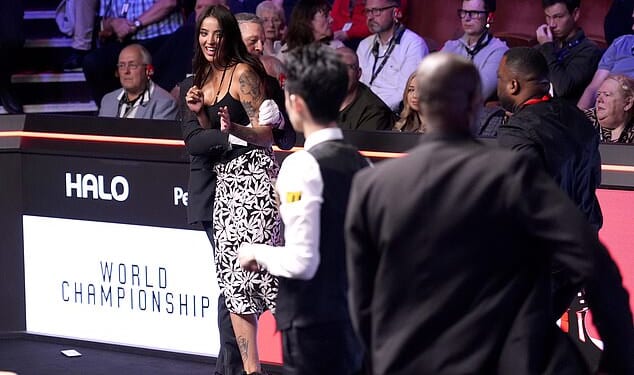 A protester briefly halted the World Snooker Championship final by shouting about the TV licence