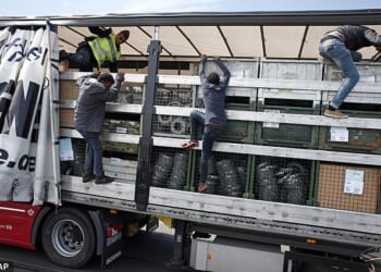 Migrants are seen jumping out of a lorry after being discovered by French gendarmerie officers as they attempt to cross the English Channel