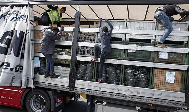 Migrants are seen jumping out of a lorry after being discovered by French gendarmerie officers as they attempt to cross the English Channel