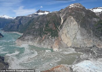 A huge tsunami 1.5 times the size of the Eiffel Tower hit a popular tourist spot in Alaska last year, a new study has revealed. Note the trimline along the far side of the fjord, caused by the tsunami stripping the walls of vegetations