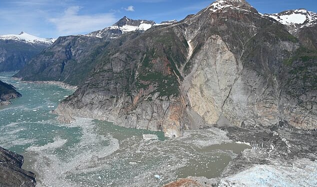 A huge tsunami 1.5 times the size of the Eiffel Tower hit a popular tourist spot in Alaska last year, a new study has revealed. Note the trimline along the far side of the fjord, caused by the tsunami stripping the walls of vegetations
