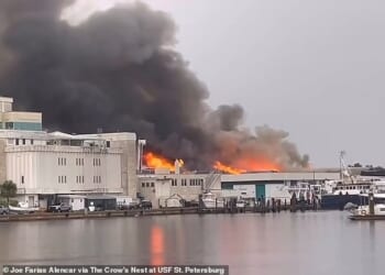 Thick plumes of smoke could be seen rising above a commercial building near the University of South Florida St. Petersburg as a two-alarm fire prompted a major emergency response