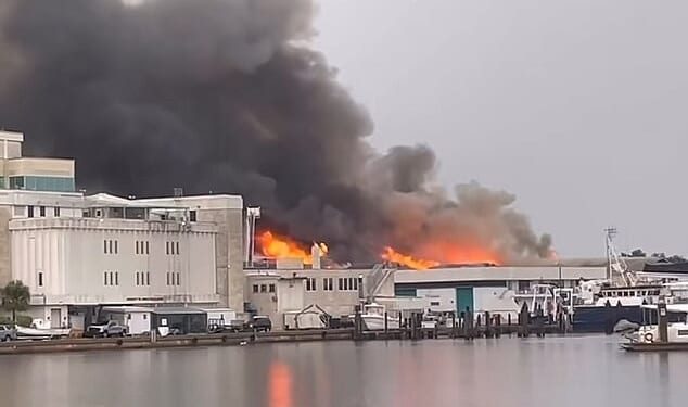 Thick plumes of smoke could be seen rising above a commercial building near the University of South Florida St. Petersburg as a two-alarm fire prompted a major emergency response