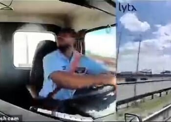 The plane, which was arriving into New Jersey after traveling from Venice, Italy, hit the vehicle on Sunday afternoon