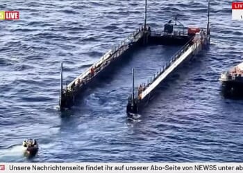 A humpback whale that had been stranded in shallow waters off the German coast has tried to make a break for it as it is carried towards the North Sea