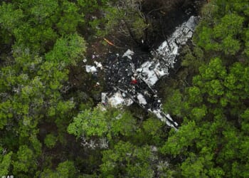 A small plane carrying pickleball players crashed in trees in Texas Hill Country on Thursday
