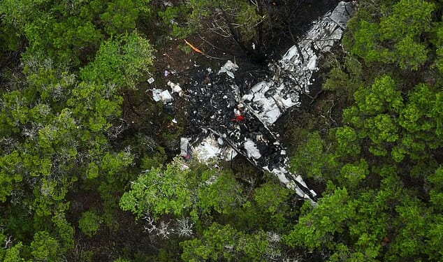 A small plane carrying pickleball players crashed in trees in Texas Hill Country on Thursday