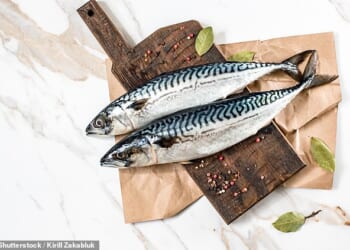 Waitrose has become the first in Britain to halt sales of mackerel entirely, scrapping fresh, chilled and frozen products in a dramatic bid to tackle overfishing