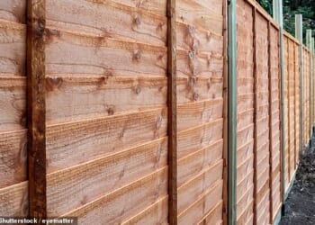 Are you a lap fencer? The most common kind of fencing in British towns and villages, the lap fence panel is 'cheap and cheerful'