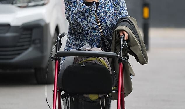 Atidel Boutara Cook blew a kiss to photographers outside Highbury Magistrates' Court after being convicted of criminal damage